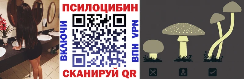 где купить наркоту  Лебедянь  Галлюциногенные грибы мицелий 
